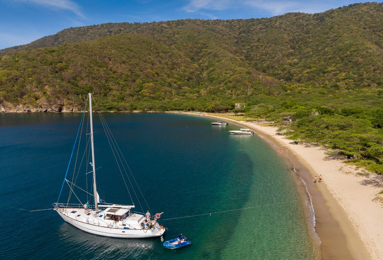 Artivela en el Parque Nacional Natural Tayrona